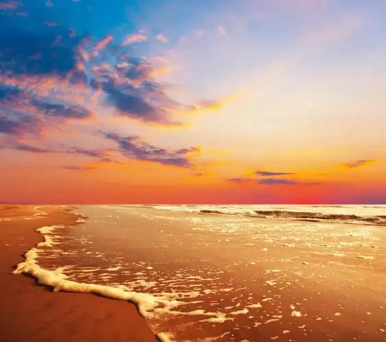 金色海滩壁纸 _ 图片网