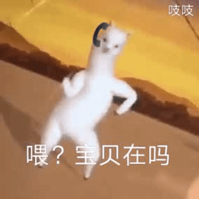喂?宝贝在吗(沙雕羊驼动图表情包)_动图_羊驼_沙雕_宝贝表情