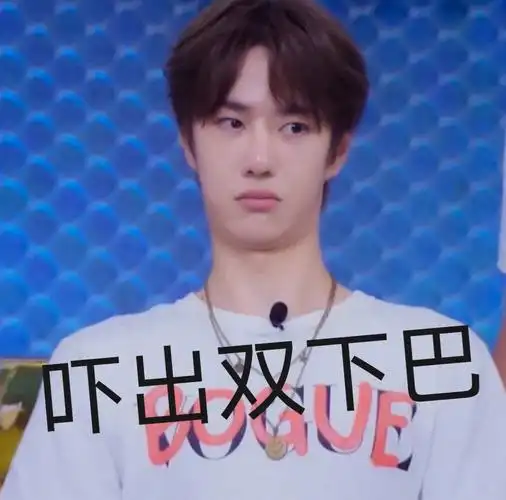 表情包之王一博