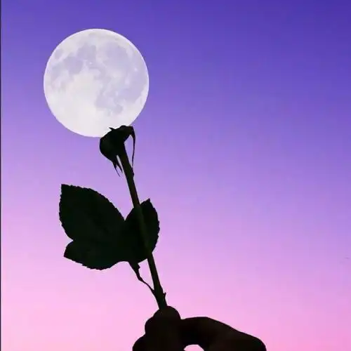 女人最适合的微信头像2020年微信头像图片女生专属