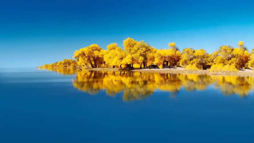 下载壁纸(1920x1080)发布者:腾  [声明] 墨鱼部落格所有资源为用户