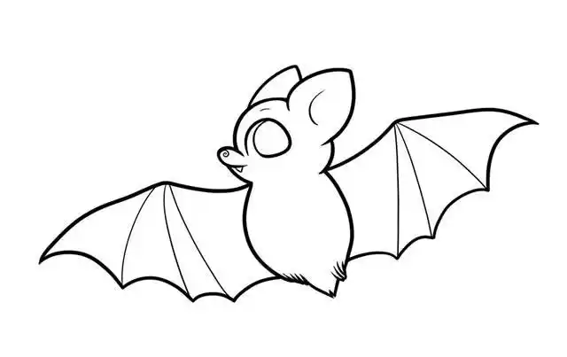 儿童学画蝙蝠简笔画简单画法图片