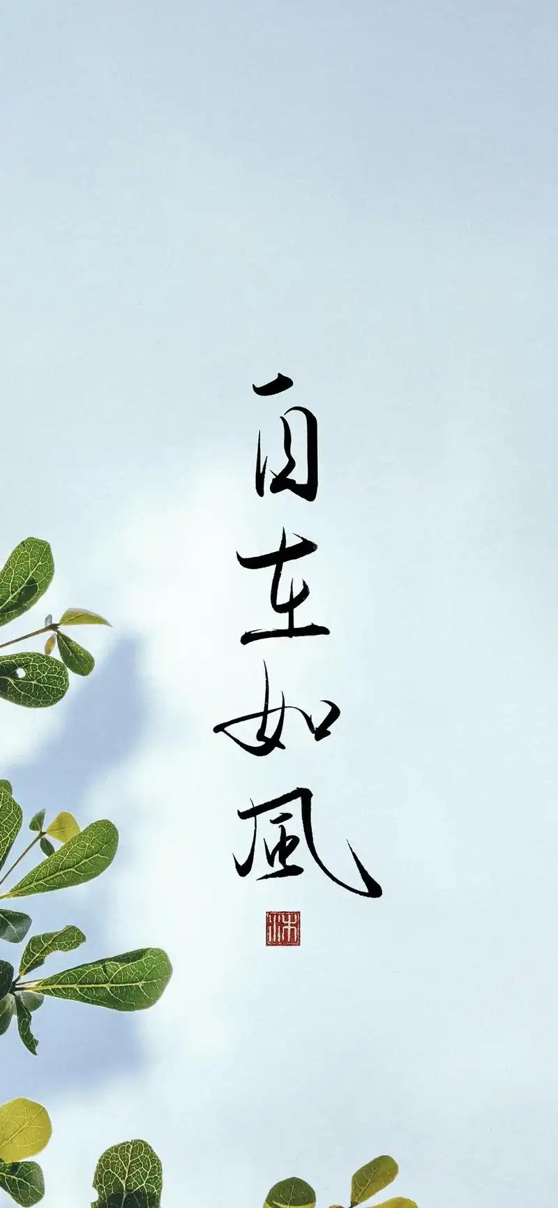 多彩壁纸452期|个性手写文字高清手机壁纸 23