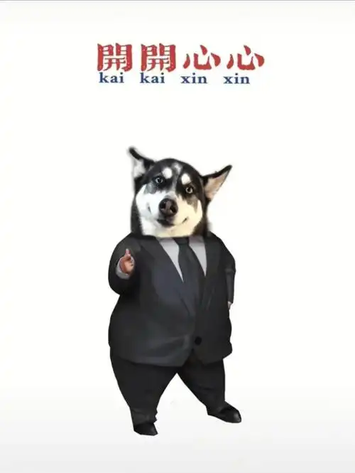 个男友一起生可爱崽崽坐标金华 美丽姐姐帅气哥哥们看看98吧#哈士奇