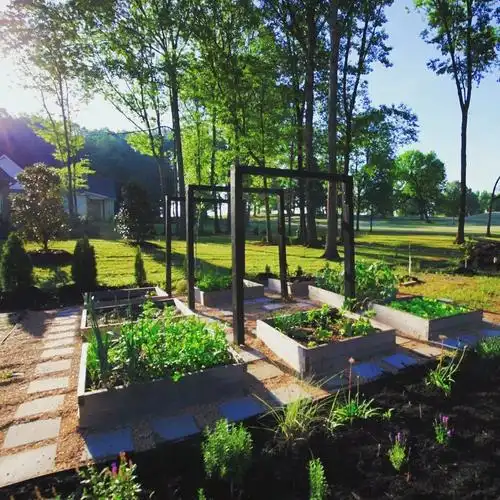 我的花园日记菜园基本成型啦