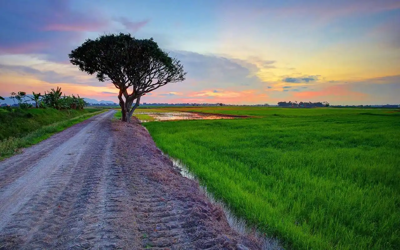 大哥说他儿子结婚时,舅舅也是的是送600块,我