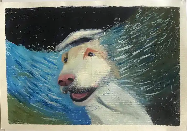 迷上绘画,2020年,学习不止