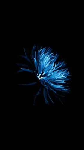 分享一波黑色壁纸,上传的非高清,需要高清的留邮箱 - oneplus 3t