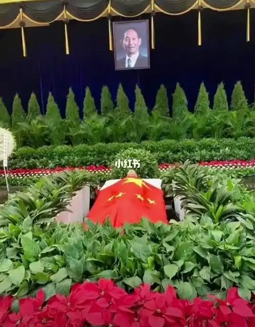 袁隆平爷爷,一路走好!_资讯_民生新闻