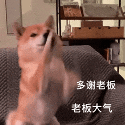 超级无敌好用的表情包