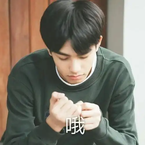 宋威龙哦低头抠手指gif动图_动态图_表情包下载_soogif