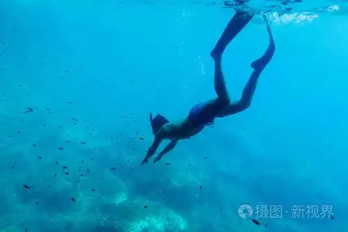 在浮潜水下游泳的人