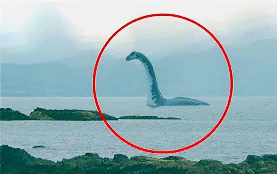 长白山天池水怪抓住了,竟是长达数十米的怪物,惊悚其丑无比_水面_生物