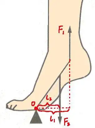 杠杆如何分类?比比力臂就知道