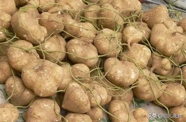 根茎类蔬菜有哪些,根茎类蔬菜有哪些图片(这8种根茎类蔬菜要常吃)