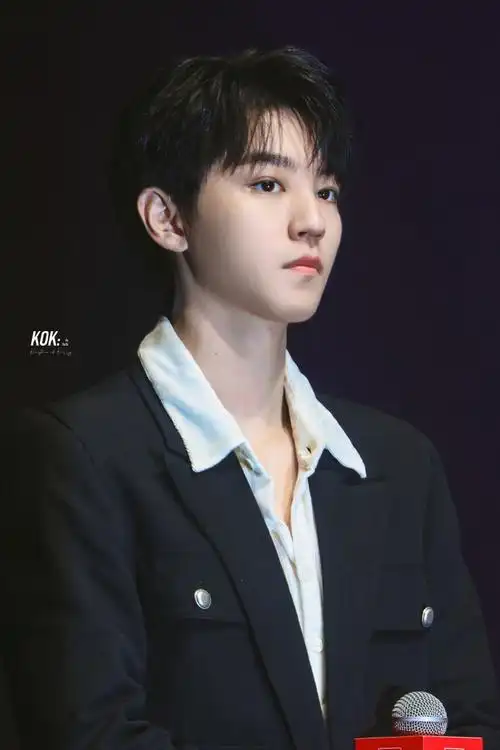 王俊凯电影刺猬