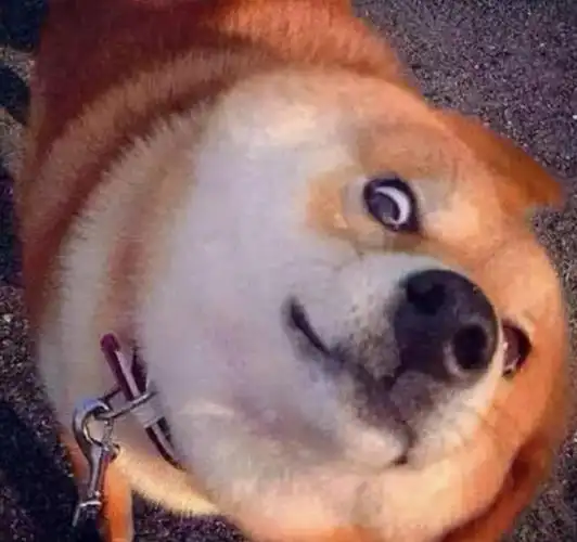 腾讯注册"狗头"表情商标,以后发表情要不要收费?-外企查