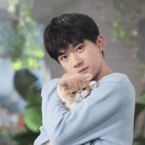 现在的千玺可是很受猫猫的欢迎呢 在《朋友请听好》节目中,阿台就很