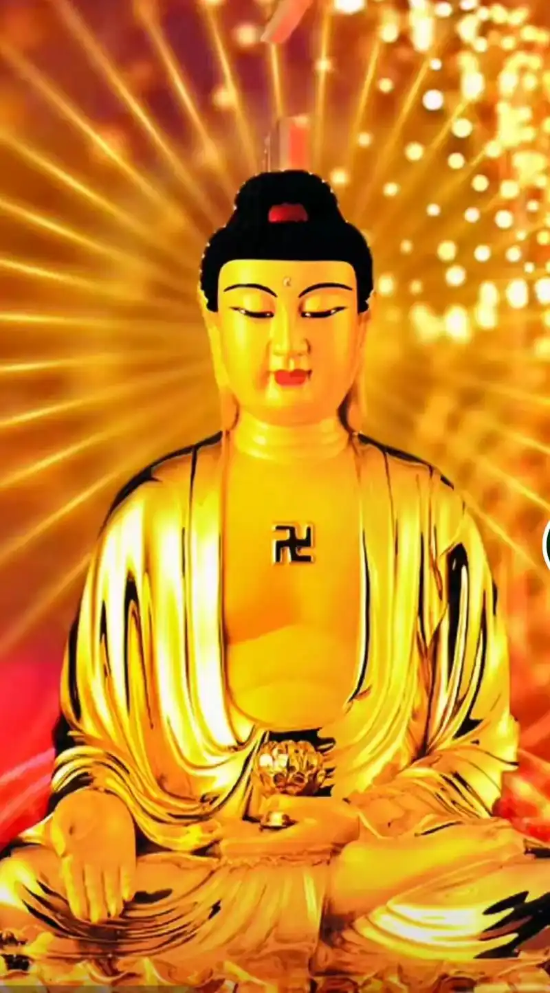 南无阿弥陀佛050505.祈愿国泰民安,疫情早日离开人间,众 - 抖音