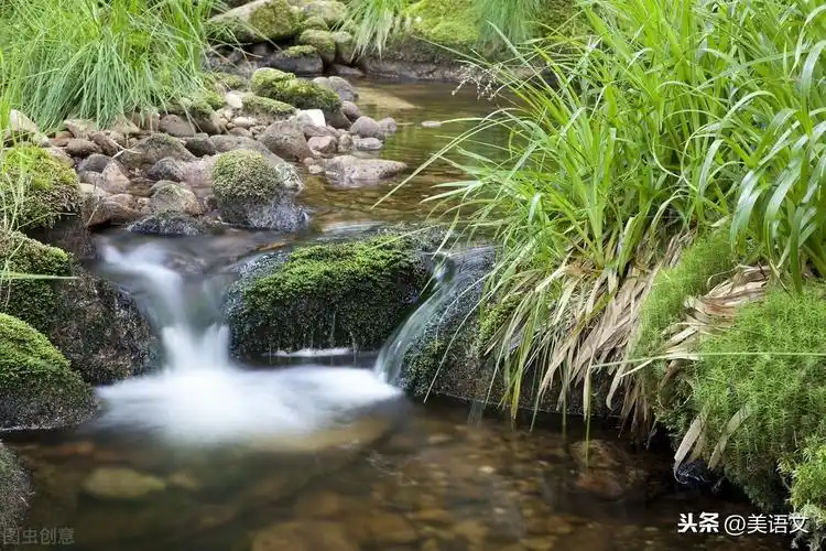 爷爷说老家的空气好,夏天没那么热,我们则更喜欢那条清澈见底的小河