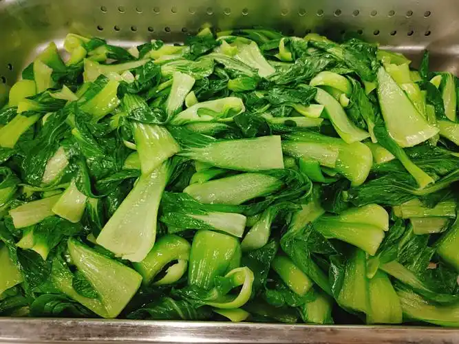 检察官学院早餐