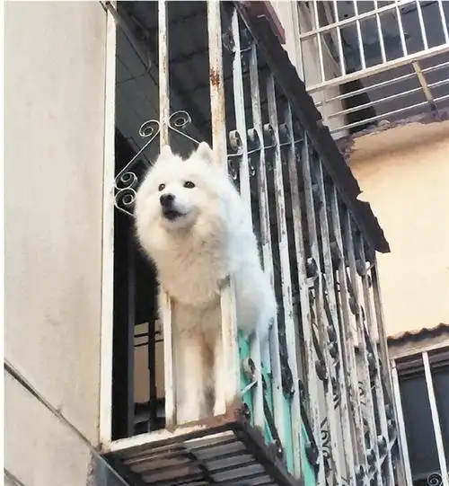 无标题·东阳日报