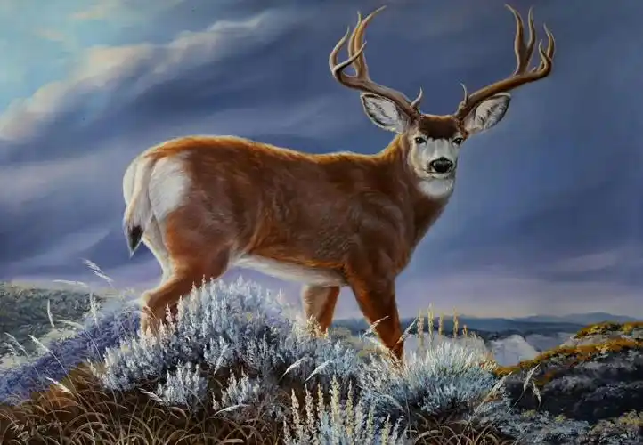 献给丹青老师油画《鹿鸣幽谷》 - 美篇