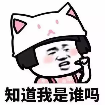 聊天套路连续表情包合集