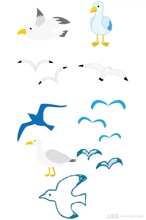 海鸥素材海鸥元素素材