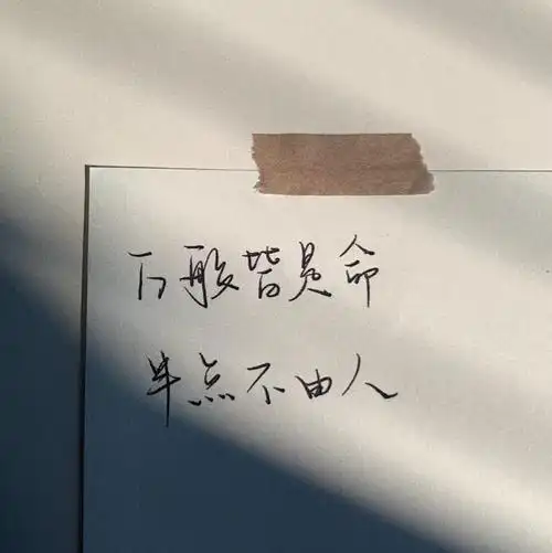 背景图#朋友圈背景#壁纸#杂图#ins#手写#励志#文字#句子#诗歌#歌词