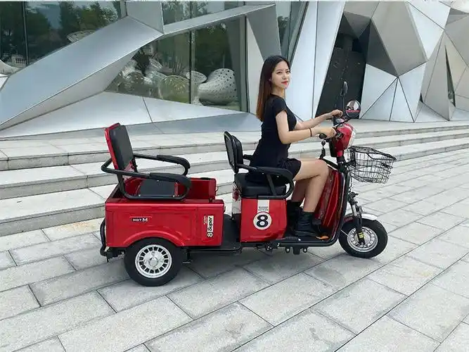 电动三轮车电瓶车老年代步车家用小型接送孩子新款拉货电三轮