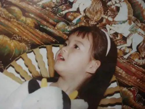 高雅拉 ara的图片