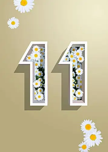 印刷,数字,十一,白色,菊花,花