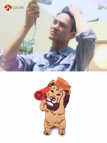 清平乐王凯同款刺绣 老虎 吹头发的狮子 别针徽章 金钱豹 胸针