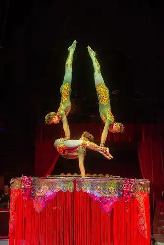 中国杂技团荣获第二届"世界的语言"国际青少年马戏艺术节金奖