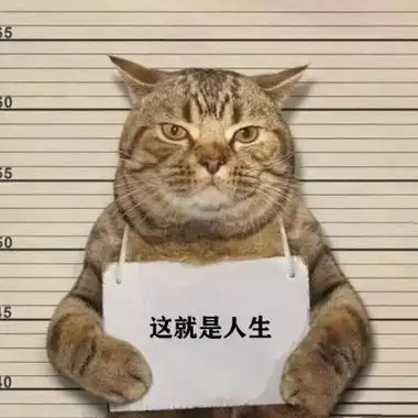 猫举牌子入狱照片头像
