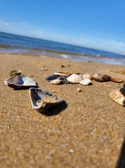 去海边玩沙子喽