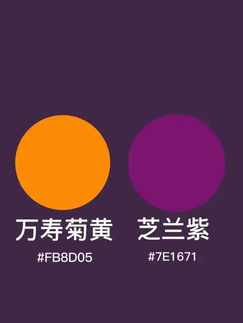 中国传统色芝兰紫绝美配色