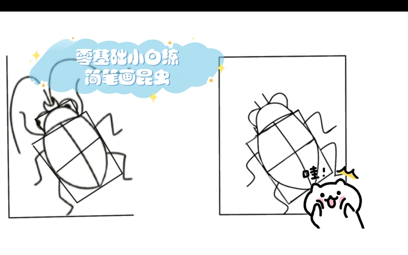 零基础小白练简笔画【打卡记录10】昆虫