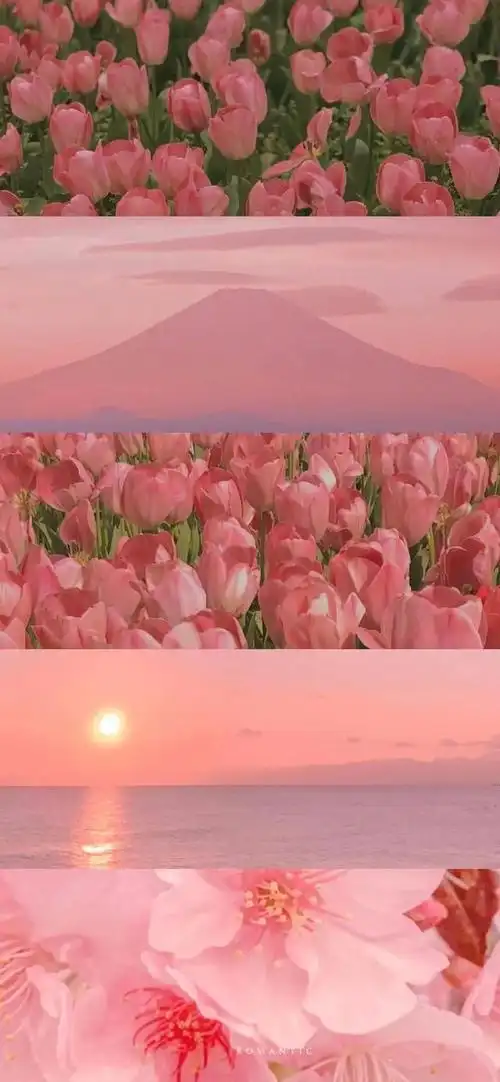 可爱背景图片少女心(可爱背景图片少女心动漫)-天晟网