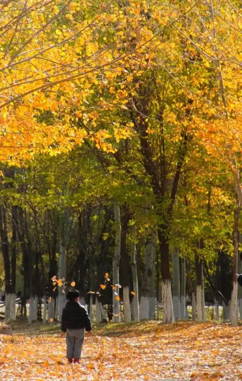 随手拍丨发现身边的美_腾讯新闻