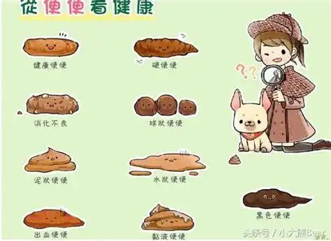 拉黑便屁股痛有血