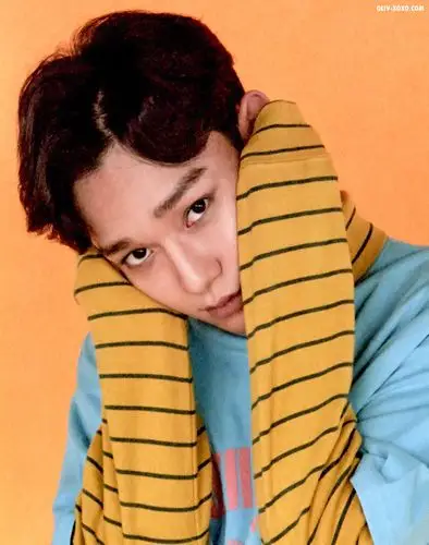 exo monster lucky one 金钟大