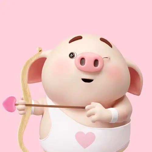 2019年网红猪屁萌萌哒