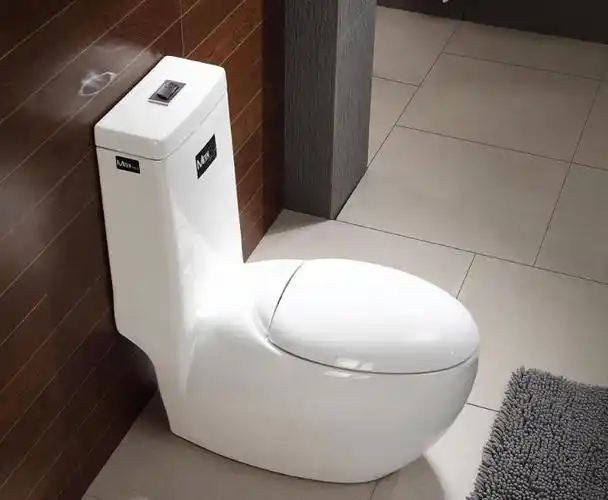 坐便器的使用给我们的生活带来了很大的便利,它既能快速的将污物排出