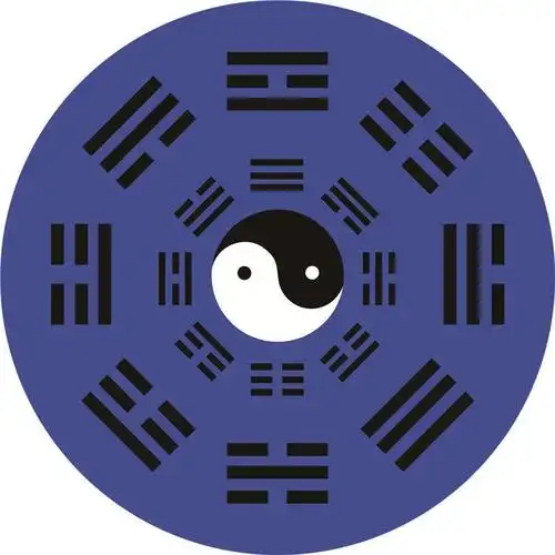 阴阳太极八卦图地毯传统民族文化道教地垫练功打坐家用脚垫