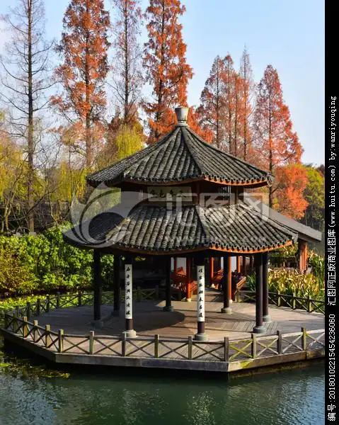 黛色参天 八角亭 西湖秋景