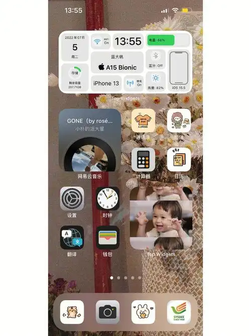 苹果手机桌面主题