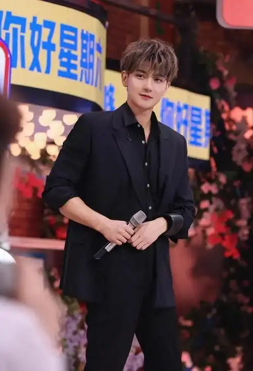 黄子韬演唱会降价仍滞销生病被群嘲粉丝自嘲是大冤种