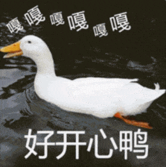 好开心鸭(嘎嘎嘎鸭鸭表情包)_好开心_嘎嘎表情